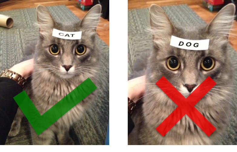 git_areas